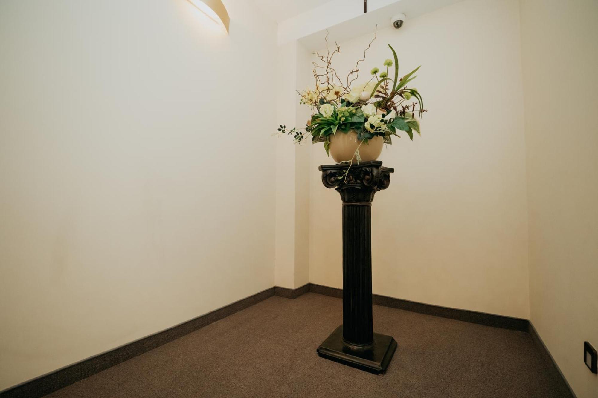 Noclegi - Apartamenty Zolynianka Екстериор снимка